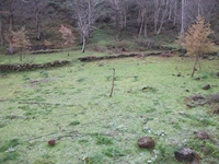 nte Mojo-30122011 040